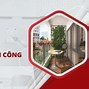 Giờ Tuyết Lô Nghĩa Là Gì