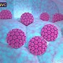 Hpv 9 Chủng Giá Bao Nhiêu Vnvc