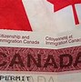 Open Work Permit Canada Là Gì