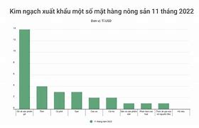 Xuất Khẩu Điều Việt Nam 2022 Đến Nay Bao Nhiêu Ngày Rồi